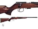 Picture for category Rifles - Rimfire