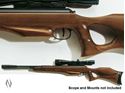 Picture of DIANA 470TH TARGET HUNTER .177 AIR RIFLE 